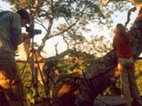 Canopy Walkway