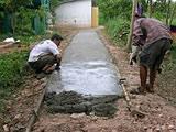 The New Path