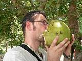 Fresh coconut milk