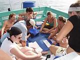 Reef monitoring training