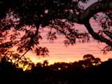 Tambopata Sunset