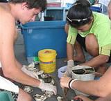 Cementing coral fragments