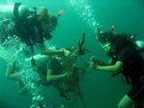 Teamwork underwater