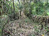 The Inca Road