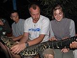 Rare Black-Caiman Race