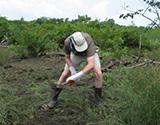 Land Clearance
