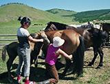 Nomad Project in Mongolia