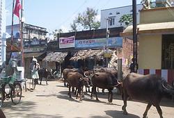 Street outside the clinic