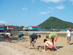 Beach clean-up