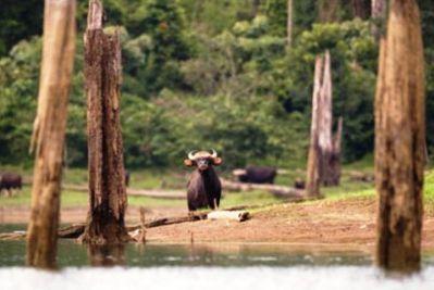 Khlong Thom Khlong Thom