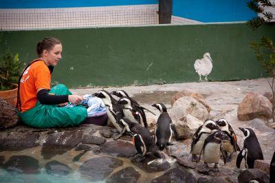 Animal Care in South Africa Animal Care in South Africa