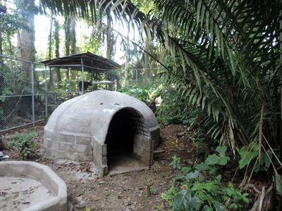 The new enclosures for the rescued bears at Taricaya Ecological Reserve include shaded caves and pools. Projects Abroad Conservation volunteers built 300m2 enclosures for the rescued spectacled bears, complete with big pools and shaded caves at Taricaya Ecological Reserve.
