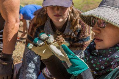 Staff archaeologist, Delsi Espinoza, and German volunteer, Selina Zunino, examine bone uncovered during excavation A volunteer and a staff member examine a bone