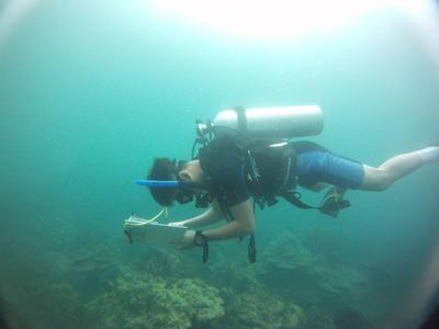 A High School Special volunteer collects data for the Coral Watch database A Conservation volunteer collecting data in Cambodia