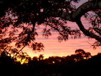 Tambopata Sunset