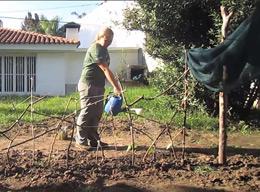 Community Farming Community Farming