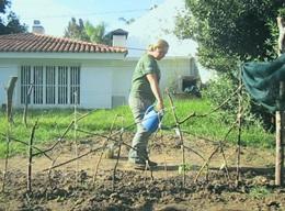 Argentina, i progetti attivi Argentina, i progetti attivi
