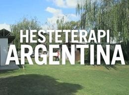 Hesteterapi Hesteterapi