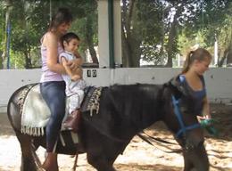 Equine Therapy Equine Therapy