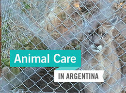 Animal Care in Argentina Animal Care in Argentina