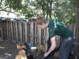 Veterinary Medicine & Animal Care in Argentina Veterinary Medicine & Animal Care in Argentina