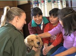 Canine Therapy in Bolivia Canine Therapy in Bolivia