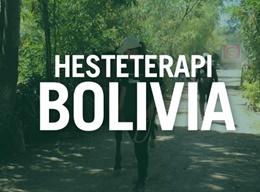 Hesteterapi - Dansk frivillig Hesteterapi - Dansk frivillig