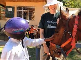 Equine Therapy Equine Therapy