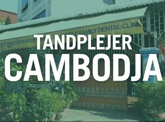 Odontologi Odontologi