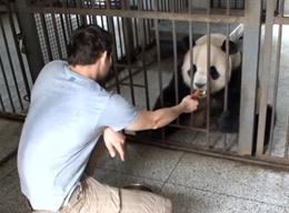 Tierschutz in China Tierschutz in China