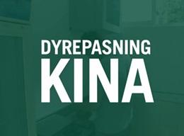 Dyrepasning - Pandaprojekt Dyrepasning - Pandaprojekt