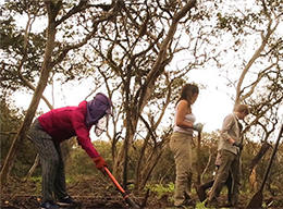 Conservation in the Galapagos Islands Conservation in the Galapagos Islands