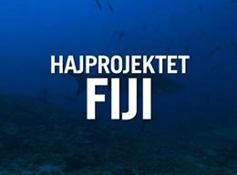 Hajprojekt Hajprojekt