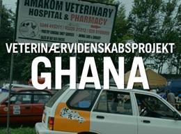 Veterinærmedicin Veterinærmedicin
