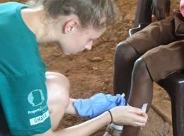 Medical Outreach Medical Outreach