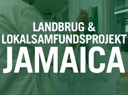 Landbrug & Lokalsamfund Landbrug & Lokalsamfund