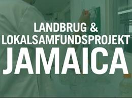 Landbrug & lokalsamfund Landbrug & lokalsamfund