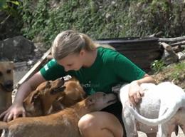 Veterinary Medicine & Animal Care in Jamaica Veterinary Medicine & Animal Care in Jamaica