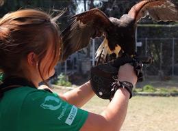 Animal Care in Mexico Animal Care in Mexico