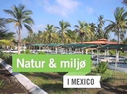 Havskildpadderne på Natur & miljøprojektet Havskildpadderne på Natur & miljøprojektet