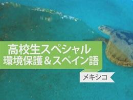 ウミガメ&沿岸保護プロジェクト in メキシコ 体験者インタビュー ウミガメ&沿岸保護プロジェクト in メキシコ 体験者インタビュー