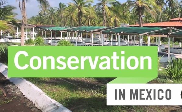 Conservation in Mexico Conservation in Mexico