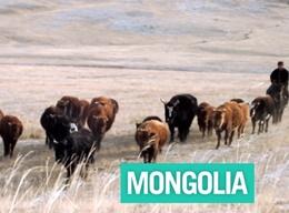 Mongolia: Overview Mongolia: Overview