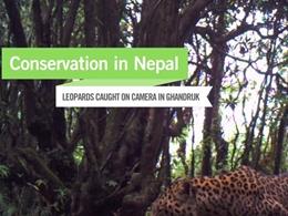 Conservation in Nepal Conservation in Nepal