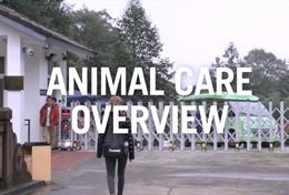 Animal Care Animal Care