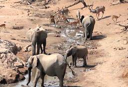 Ecovolontariat et environnement avec Projects Abroad Ecovolontariat et environnement avec Projects Abroad