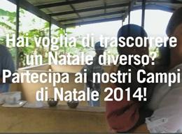 Campi di natale Campi di natale