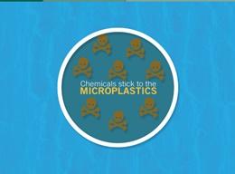 Microplastics Microplastics