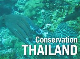 South East Asia Projects Overview South East Asia Projects Overview