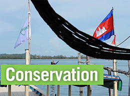 Conservation: Overview Conservation: Overview